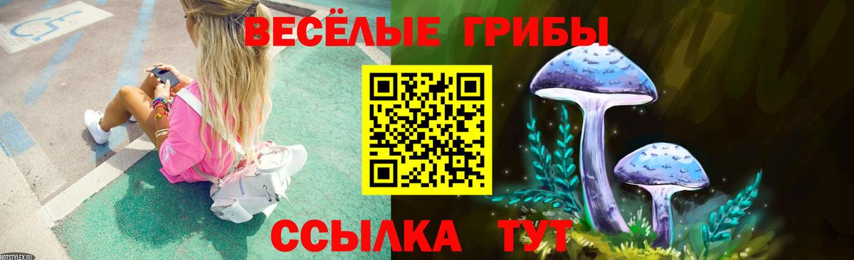 Псилоцибиновые грибы Psilocybine cubensis Сибай